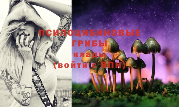 прущие крисы Верея
