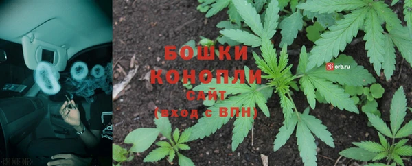 прущие крисы Верея