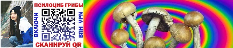 Купить закладки  Нягань  Псилоцибиновые грибы Cubensis 